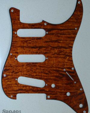 Strat Mahogany Curly Maple 401