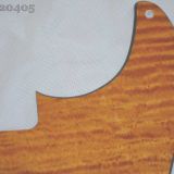 Tele Bass Gold Curly Maple 405