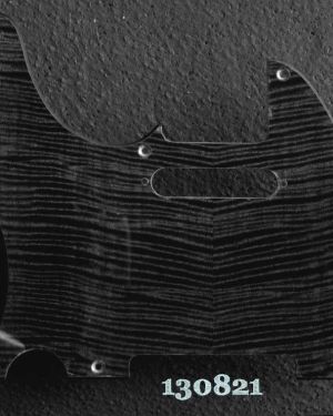 Tele 8 Hole Black Figured Maple Left Hand 821