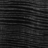 detail image 1 black figured tele maple pickguard 821