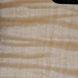 charval so cal pickguard detail 2