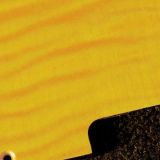 detail image 2 gold figured tele maple pickguard 555