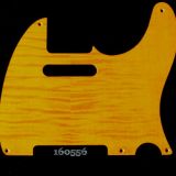 gold figured tele maple pickguard 556