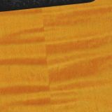 detail image gold figured tele pickguard 556a