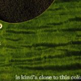 detail image 2 green curly tele maple pickguard 131