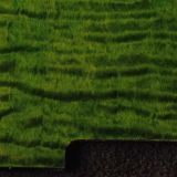 detail image 3 green curly tele scratchplate 131