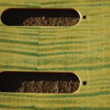 maple stratocaster pickguard
