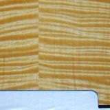 Maple telecaster pickguard