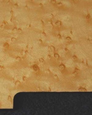 Tele 5 Hole Natural Birdseye Maple 550