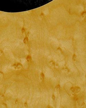 Tele 5 Hole Natural Birdseye Maple 562