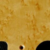 detail image natural birdseye tele pickguard 562b