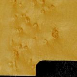 detail image natural birdseye tele scratchplate 562c