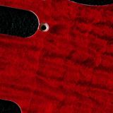 detail image red figured strat maple pickguard 117